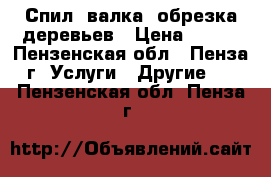 Спил, валка, обрезка деревьев › Цена ­ 500 - Пензенская обл., Пенза г. Услуги » Другие   . Пензенская обл.,Пенза г.